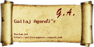 Gallaj Agenór névjegykártya